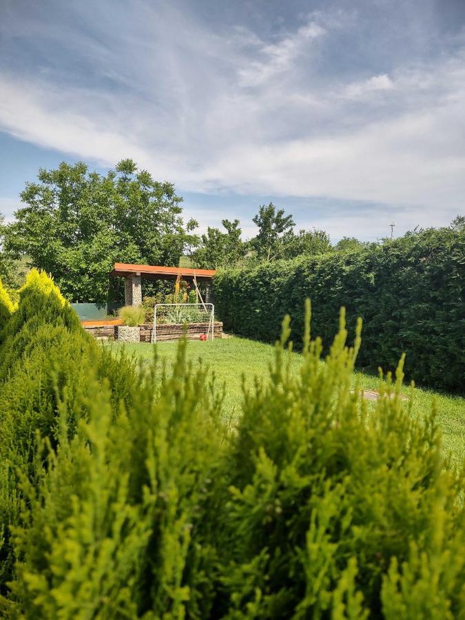 Ferienwohnung Privat Arcadia Podhájska Exterior foto